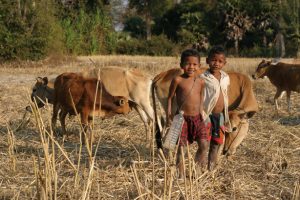 Cambodian Children