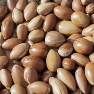 argan oil nut